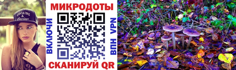 Галлюциногенные грибы Psilocybine cubensis  Новоульяновск 